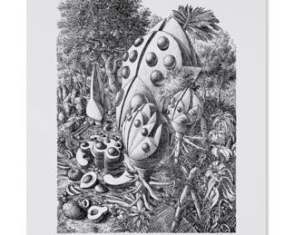 sku1016 RamonAlejandro BeetleForest