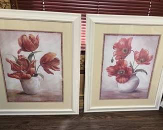 Large poppy pictures