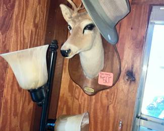 DEER HEAD MOUNT