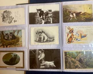 157 Antique/Vintage Post Cards: Animals, United Kingdom, U.S. Egypt, & More