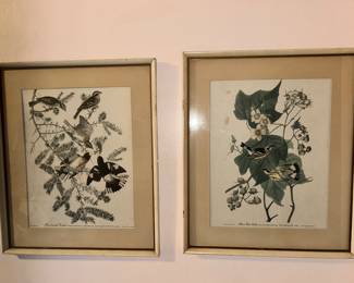Large Audubon framed prints. 