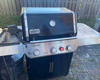 Weber grill