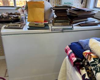 Chest Freezer (still working)