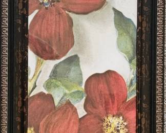 Pair of Framed Red Poppy Flower Prints