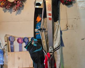 Water ski and snow skis