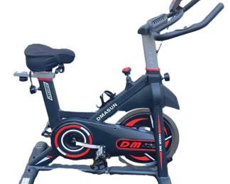 Dmasun Indoor Exercise Bike