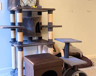Cat Towers