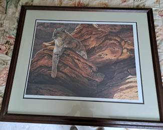 John Lester Publisher's proof 13/20 Cliff Hanger Bobcat