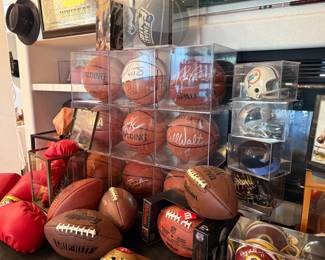 NBA HALL OF FAME SIGNED BASKETBALLS