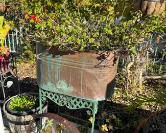 SO MANY POTTED & HANGING PLANTS FOR SALE