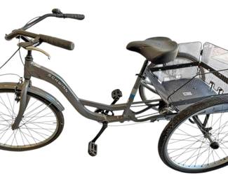 Schwinn 3 Wheel Bicycle 