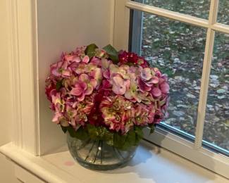 Hydrangea