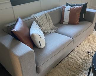 Handsome Biege Sofas