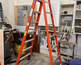 Werner 12 FT 300LB Ladder