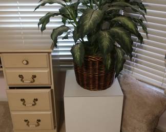 plant and pedestal