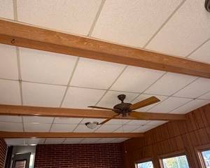 Wood Beams and Ceiling Fan