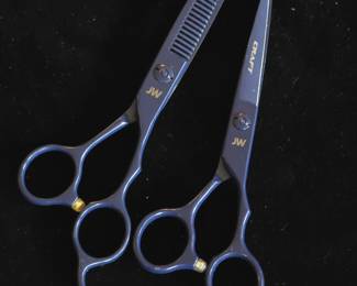 Professional cosmetology scissors 