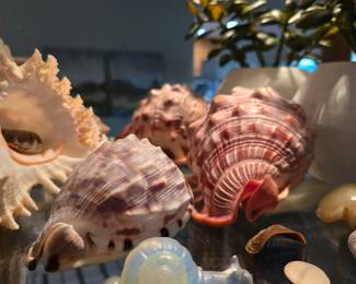 vintage Sabino snail figurine