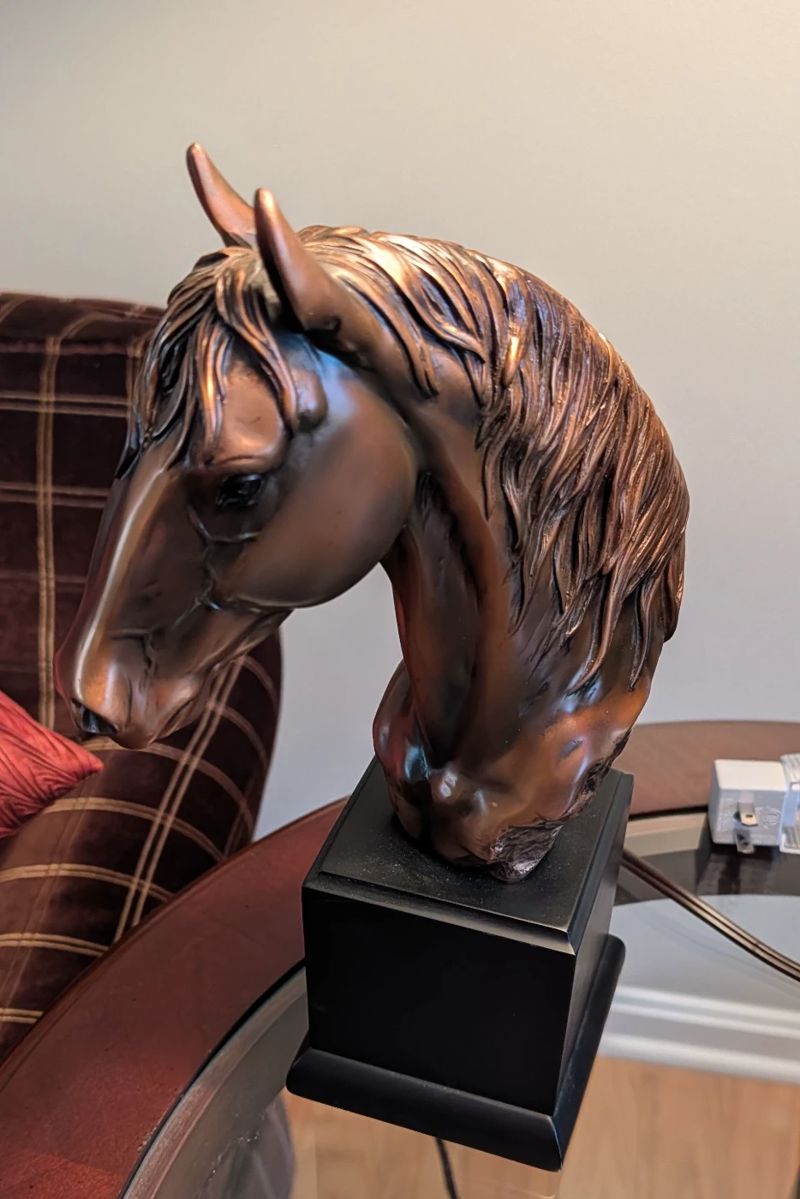 HORSE RACING ENTHUSIASTS