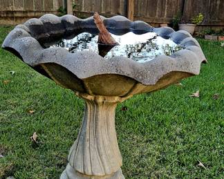 Bird bath