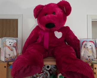 Ty Beanie Buddy's, Beanie Babies, McD Teeny Beanies, Pillow Pals, Collector Club....Oodles and Oodles!! So dang cute!