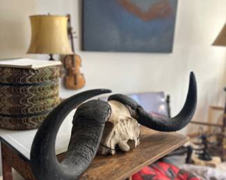 African Water Buffalo Trophy - $300