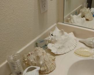 Seashells Nautical Items