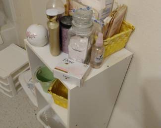 Storage Bins Shelves