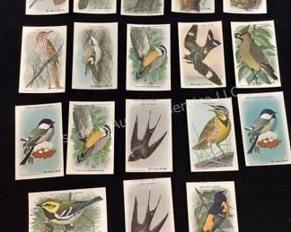 Arm & Hammer bird cards