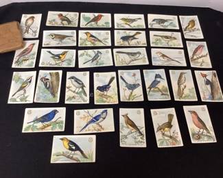 Arm & Hammer bird cards