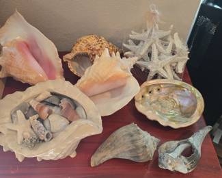 Conch shells and more nautical.