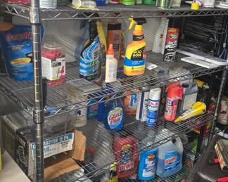 Lots and lots of household cleaners and chemicals