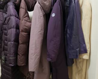 Down, leather, and wool coats