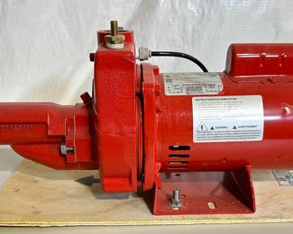 Red Lion RJC-100 1HP Shallow Well Jet Pump