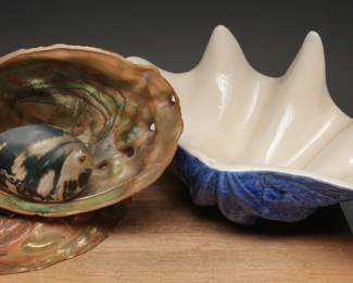 Seashell Lamp & Shell Decor