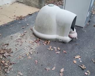 Dog igloo
