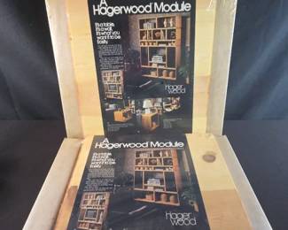 2 New A Hagerwood Module 