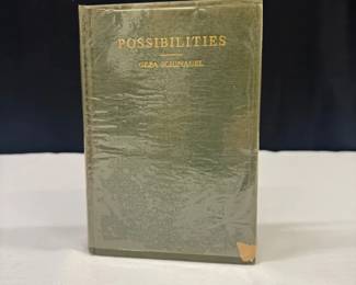 Possibilities By Geza Schinagel, M.D.