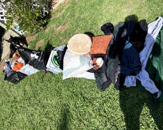 sweat shirts, halloween decorations, Christmas decoration. Dog not included lol