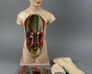 Vintage Female Anatomical Educational  Model