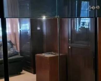 EAT240 - Glass and Mirror Storage Cabinet (2 of 3)