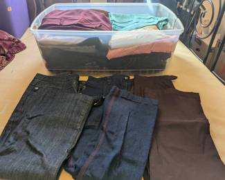 EAT324- mystery Lot Of Womens Pants And Jeans 