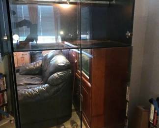 EAT239 - Glass and Mirror Storage Cabinet (1 of 3)