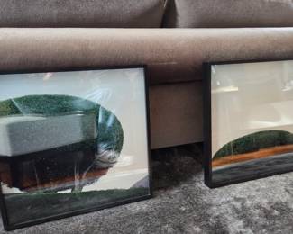 Two Framed Photo Enlargements from Minetti (on the right, the brown stripe is a reflection; it is all green)