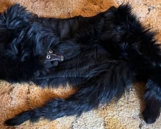 1930s fur collar shawl