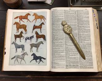 Huge Unabridged Dictionary