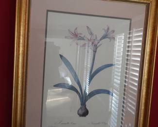 FRAMED BOTANICAL PRINT