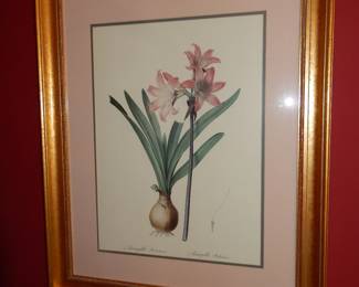 FRAME BOTANICAL PRINT