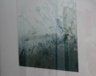 Framed Botanical Print Set (28” x 11”)