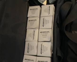 Westcott TD5 Spiderlite 2-light kit with two 22” x 29” soft boxes, ten 5500k bulbs, two stands, two mounting brackets, two silver/white Westcott umbrellas and a carrying case in excellent condition